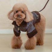 Blouson pour chien Douglas Puppia