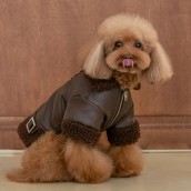 Blouson pour chien Douglas Puppia