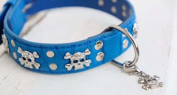 Collier pour chien en cuir bleu tête de mort