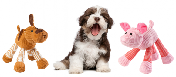 Jouets pour chien Cochon et Chien