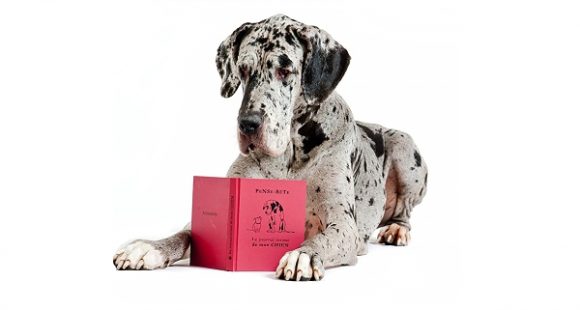 Pense-bête - Boutique pour chien Oh ! Pacha