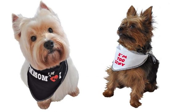 Vêtements pour chien Oh ! Pacha