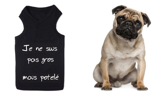 Collection de t-shirts pour chien