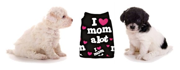 T-shirts pour chien