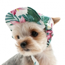 Boutique de vetements pour chien et chiot