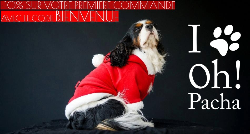 Manteau pour chien et doudoune - Oh ! Pacha