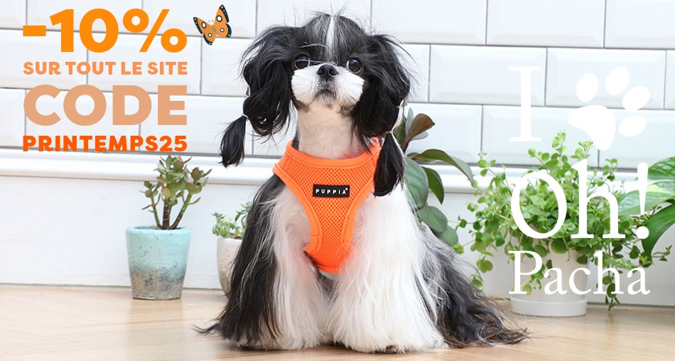 Harnais pour chien orange fluo Puppia - Oh ! Pacha